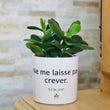 Charger l'image dans la galerie, pot de fleurs personnalisé ne me laisse pas crever