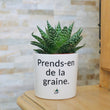 Charger l'image dans la galerie, cadeau original