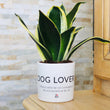 Charger l'image dans la galerie, sanoa pots - Dog lover