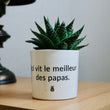 Charger l'image dans la galerie, pot de fleurs le meilleur des papas