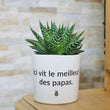 Charger l'image dans la galerie, pot de fleurs personnalisé le meilleur des papas