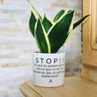 Charger l'image dans la galerie, sanoa pots - stop