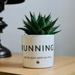 Charger l'image dans la galerie, pot de fleurs running