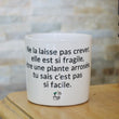 Charger l'image dans la galerie, sanoa pots - Ne la laisse pas creuver, elle est si fragile, etre une plante arrosée, tu sais c'est pas si facile