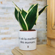 Charger l'image dans la galerie, pot de fleurs personnalisé ici vit la meilleur des mamans