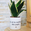 Charger l'image dans la galerie, pot de fleurs personnalisé ici vie le meilleur des papis