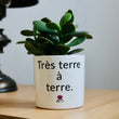 Charger l'image dans la galerie, pot de fleurs très terre à terre