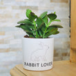 Charger l'image dans la galerie, cadeau original fan de lapin