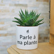 Charger l'image dans la galerie, cadeau original