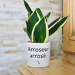 Charger l'image dans la galerie, pot de fleurs personnalisé arroseur arrosé
