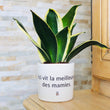 Charger l'image dans la galerie, pot de fleurs personnalisé ici vit la meilleur des mamies