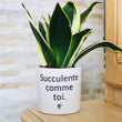 Charger l'image dans la galerie, pot de fleurs original