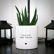 Charger l'image dans la galerie, sanoa pots - Juste une super maman