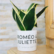 Charger l'image dans la galerie, pot de fleurs personnalisé romeo et juliette