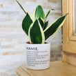 Charger l'image dans la galerie, Pot de fleurs personnalisé définition d'une mamie
