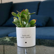 Charger l'image dans la galerie, sanoa pots - Juste une super maman