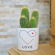 Charger l'image dans la galerie, pot de fleurs personnalisé love