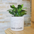 Charger l'image dans la galerie, cadeau original fan de chien