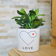 Charger l'image dans la galerie, idée cadeau amoureux
