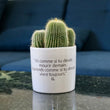 Charger l'image dans la galerie, sanoa pots - Vis comme si tu devais mourir demain. Apprends comme si tu devais vivre toujours.