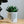 Charger l&#39;image dans la galerie, Pot de fleurs - Tu es comme ce pot. Addictif.
