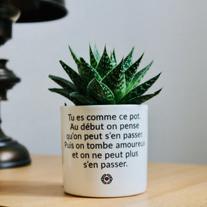 Pot de fleurs - Tu es comme ce pot. Addictif.
