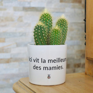 pot de fleurs personnalisé ici vit la meilleur des mamies