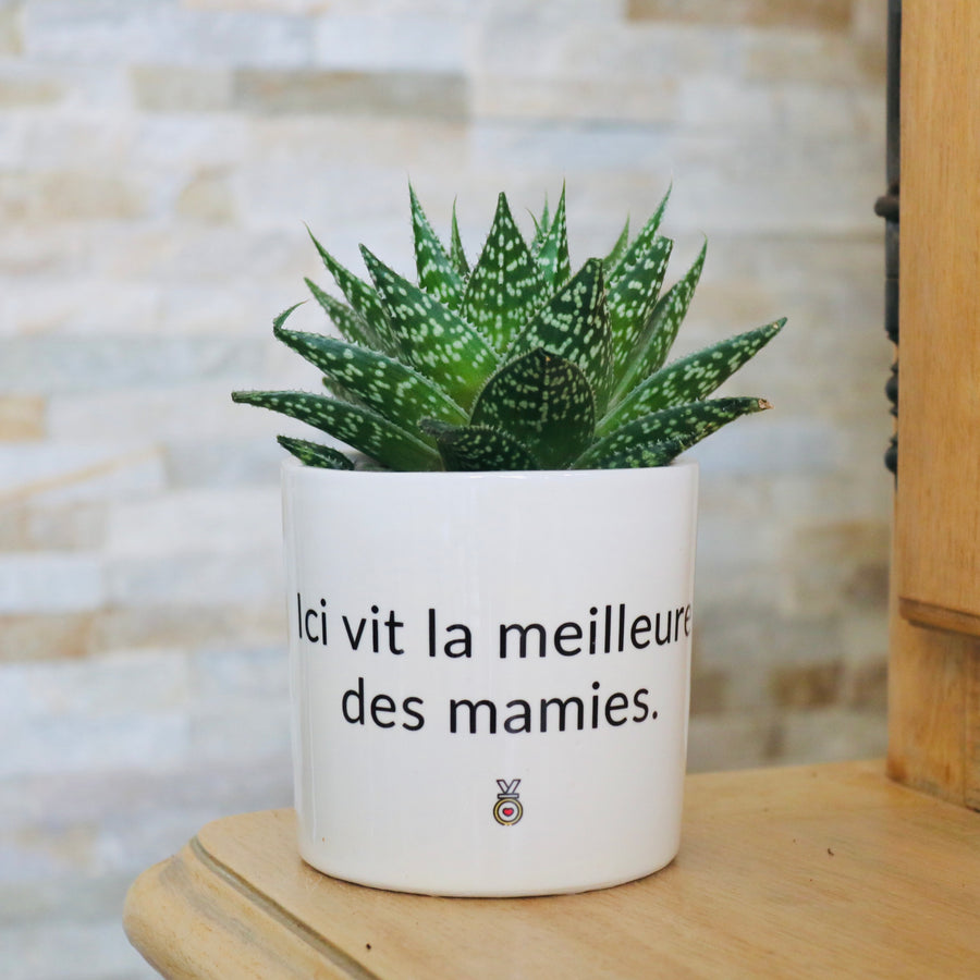 pot de fleurs personnalisé ici vit la meilleur des mamies