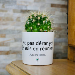 Pot de fleurs - Ne pas déranger je suis en réunion