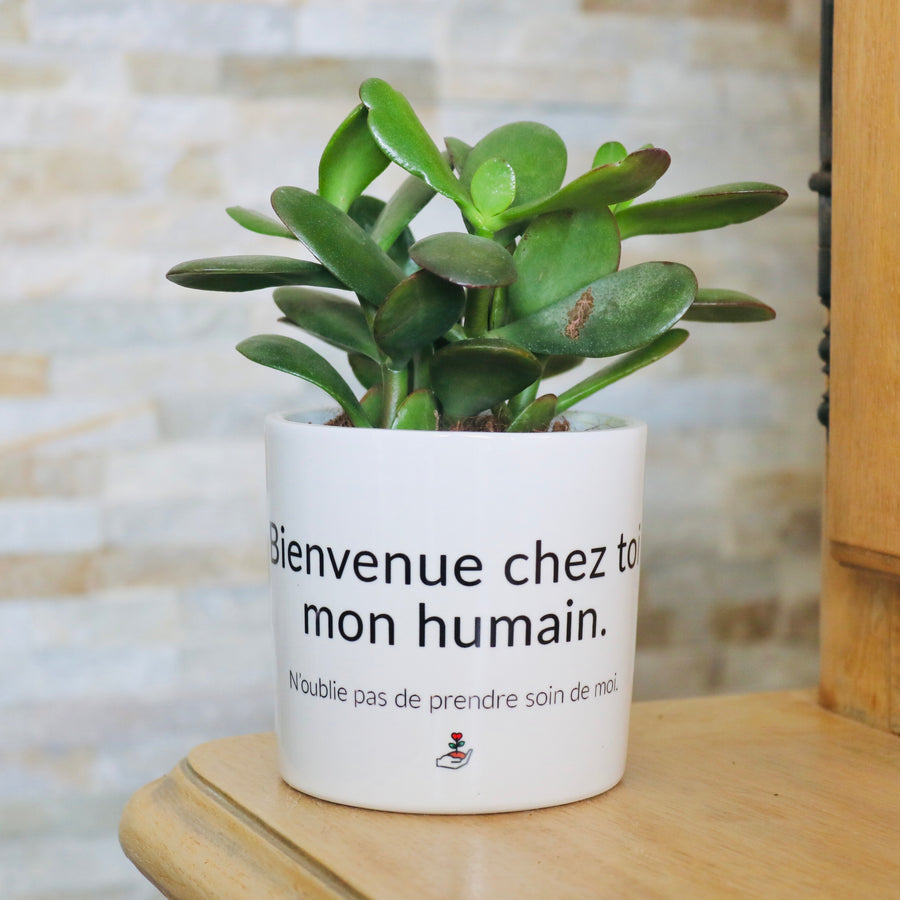 Pot de fleurs personnalisé Bienvenue chez toi mon humain