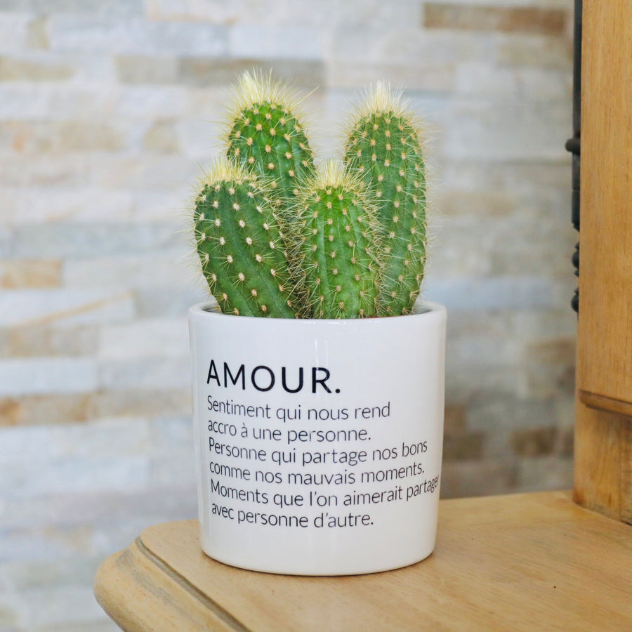 pot de fleurs personnalisé amour