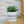Charger l&#39;image dans la galerie, Pot de fleurs - Amour.
