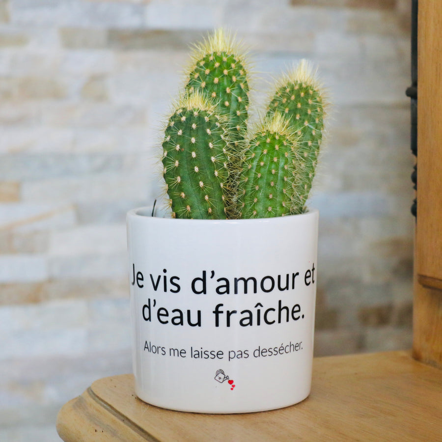 idée cadeau