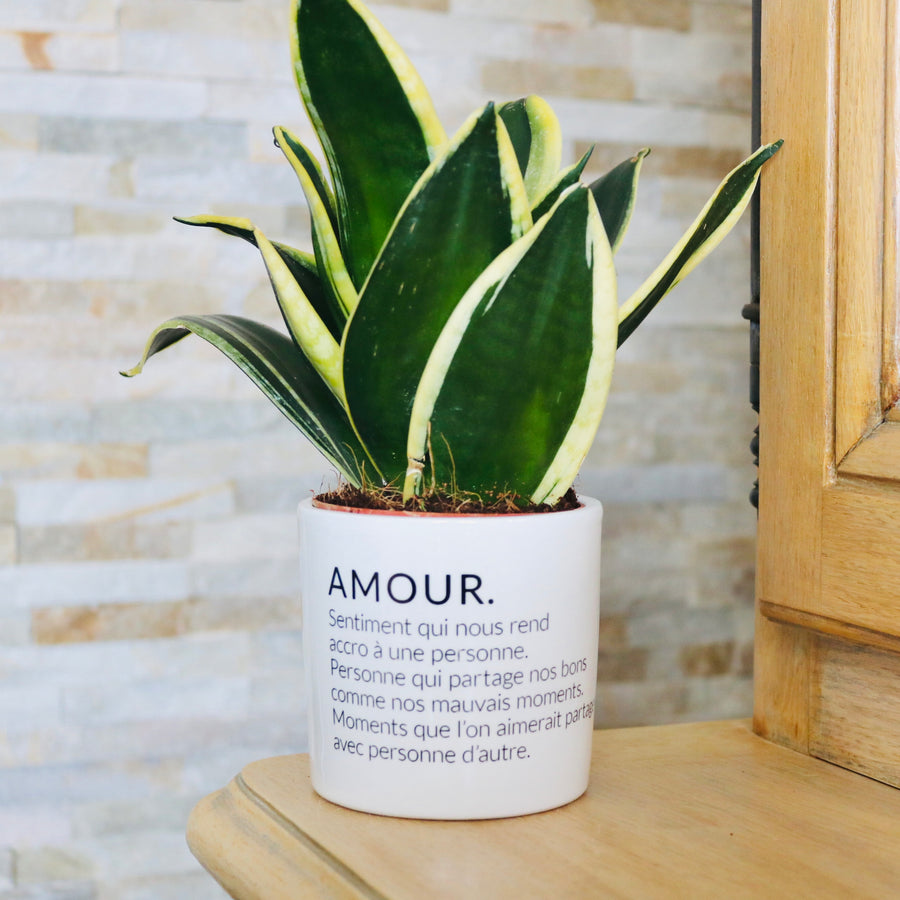 pot de fleurs personnalisé amour