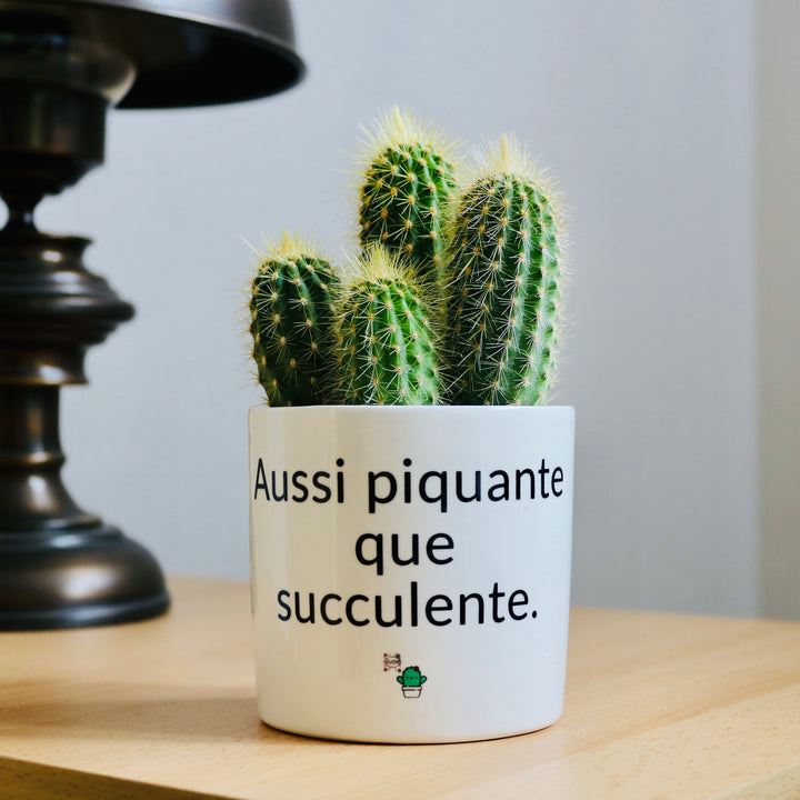 Pot de fleurs personnalisé Aussi piquante que succulente