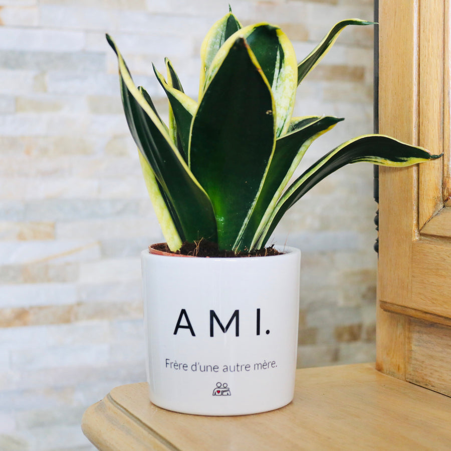 pot de fleurs personnalisé ami
