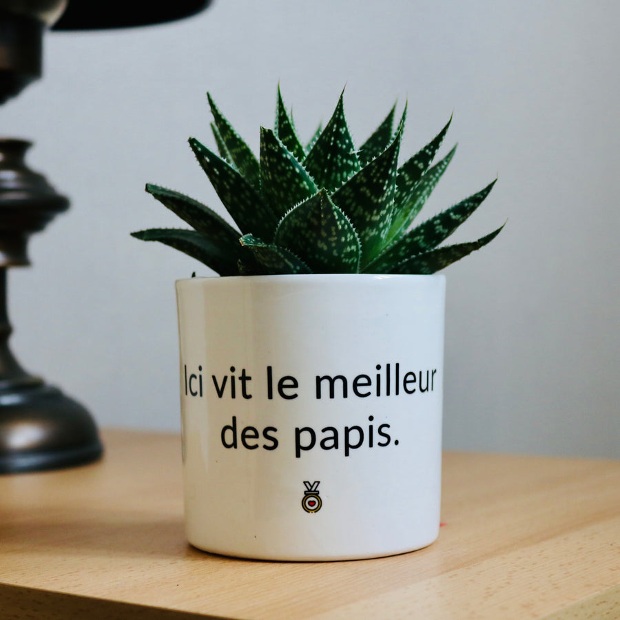 pot de fleurs personnalisé le meilleur des papis