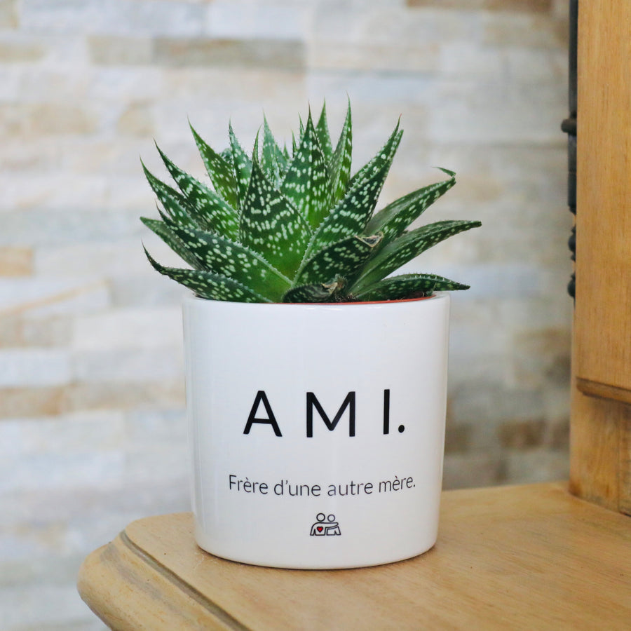 Pot de fleurs personnalisé pour un ami