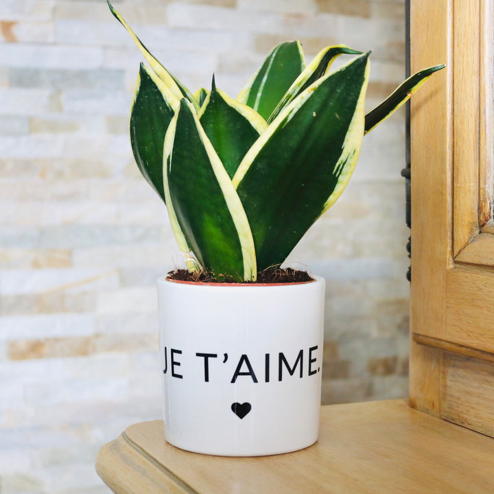 sanoa pots - je t'aime