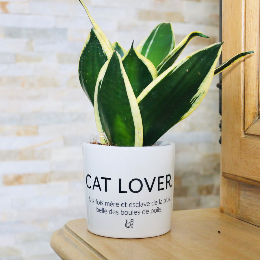 pot de fleurs personnalisé cat love