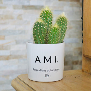 pot de fleurs personnalisé ami