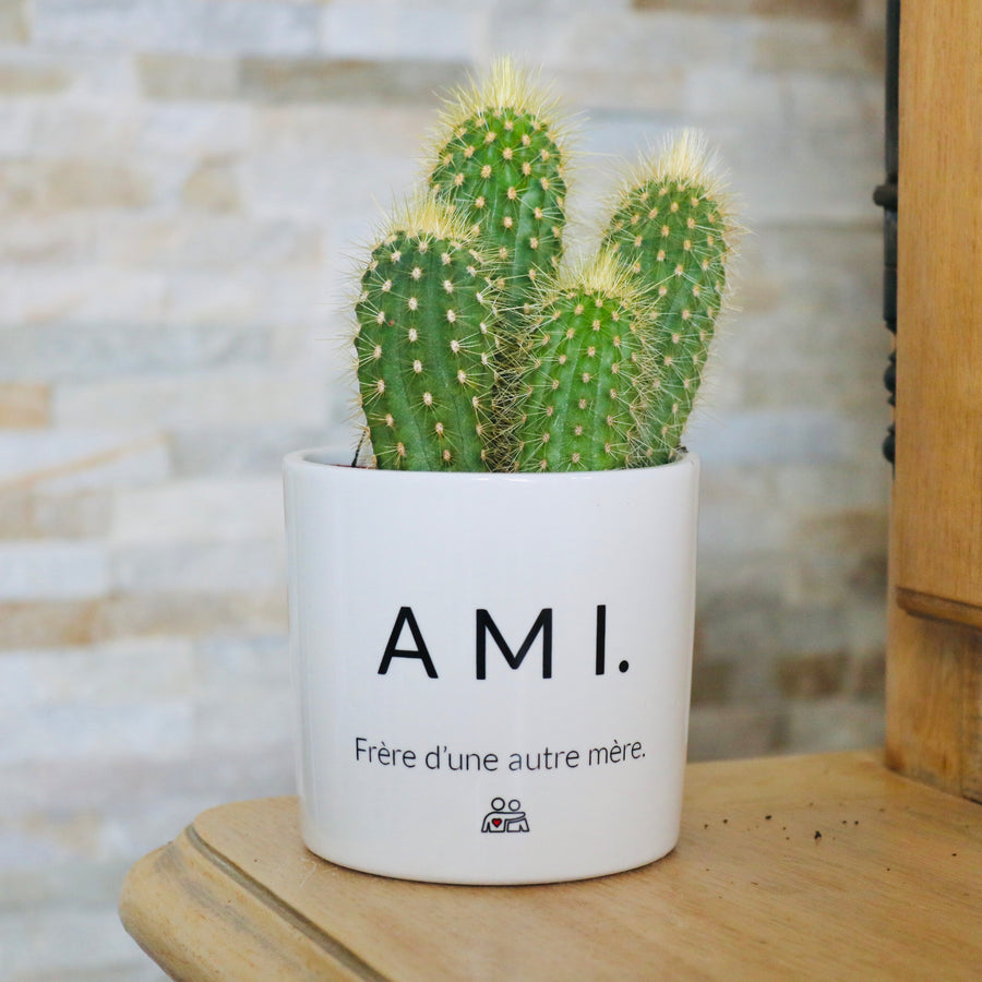 pot de fleurs personnalisé ami