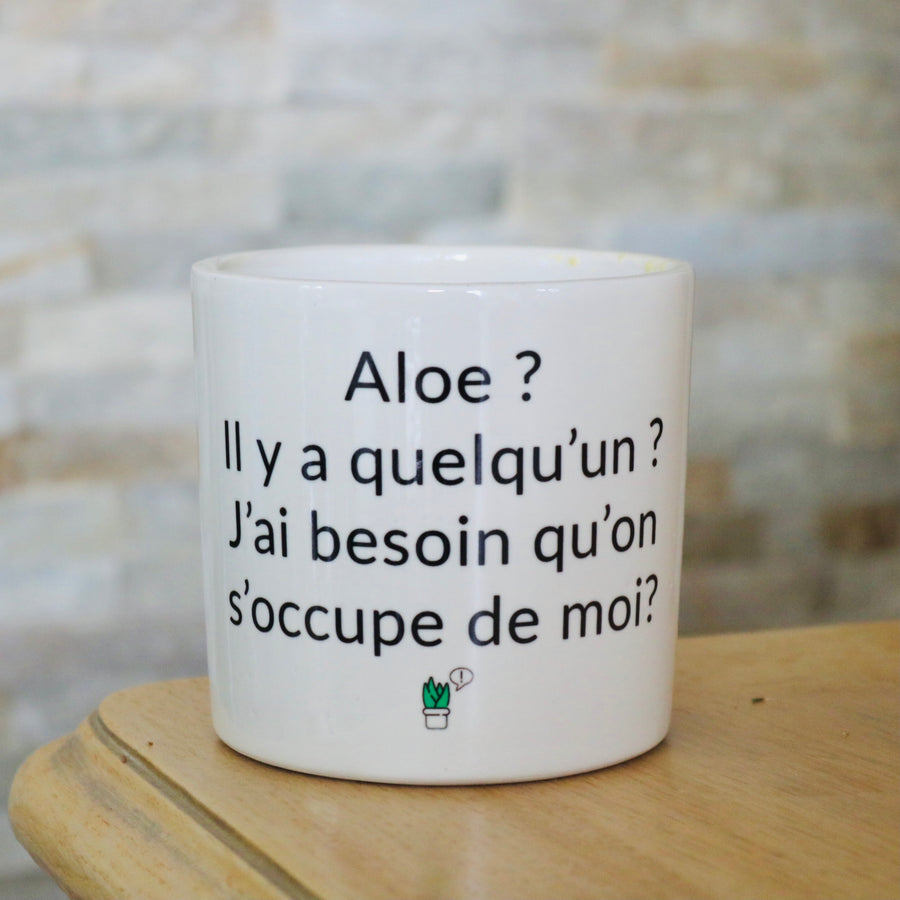 Pot de fleurs - Aloe ? Il y a quelqu'un ?