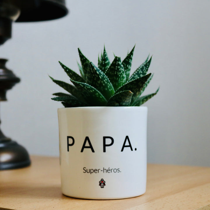 pot de fleurs papa