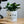 Charger l&#39;image dans la galerie, pot de fleurs Tata
