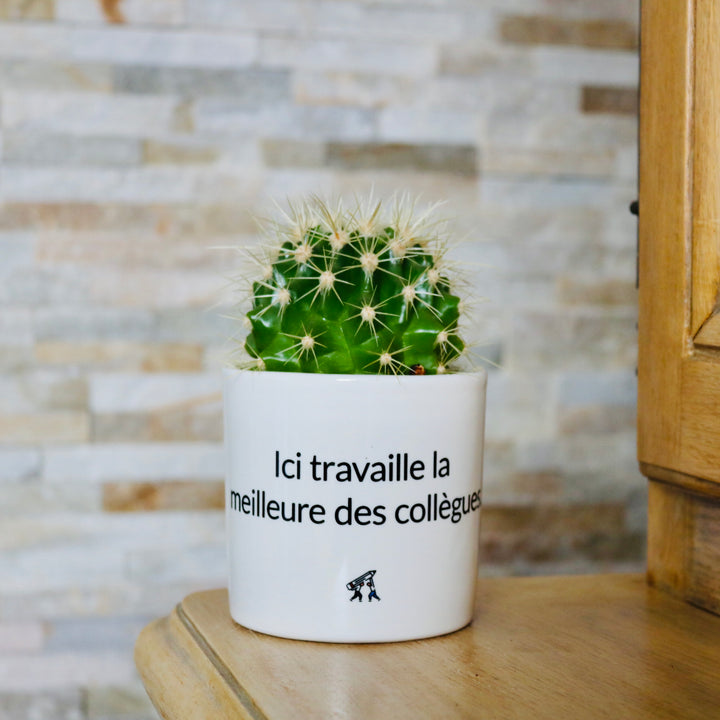 sanoa pots - Ici travaille la meilleure des collègues