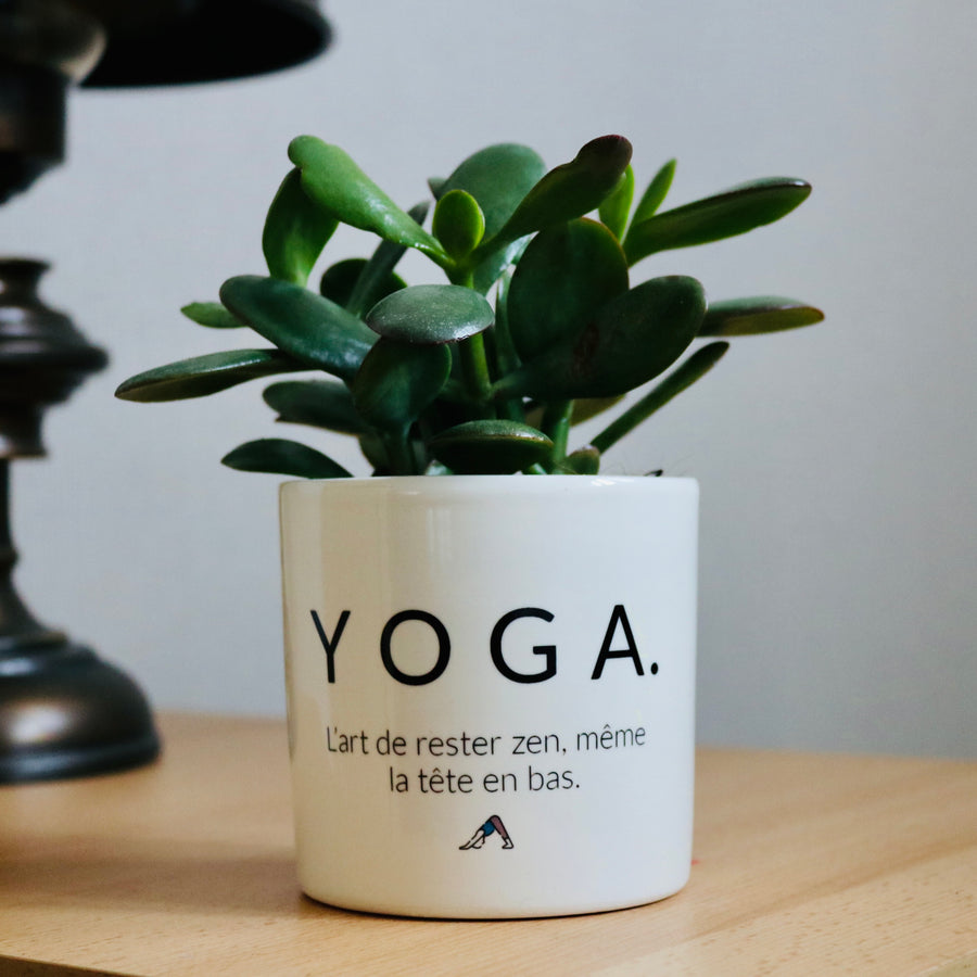pot de fleurs pour un fan de yoga