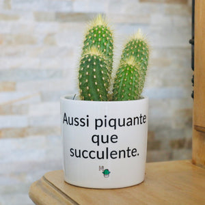 Pot de fleurs personnalisé Aussi piquante que succulente