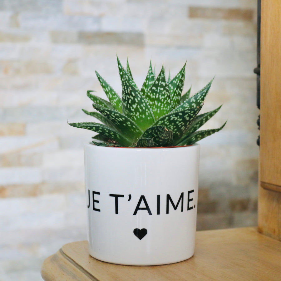 sanoa pots - je t'aime