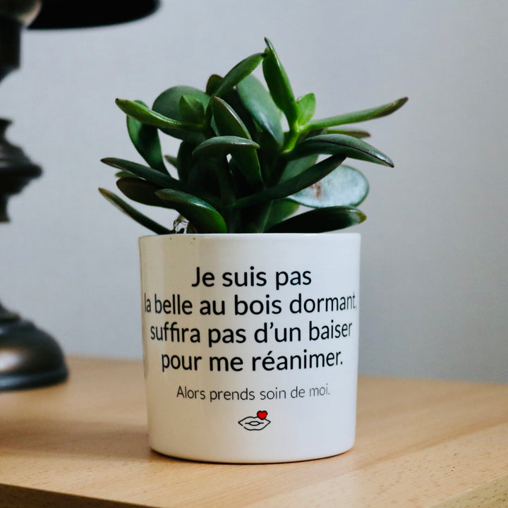 pot de fleurs pas la belle au bois dormant